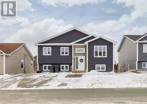 110 Acharya Drive  Paradise, NL A1L 4A4