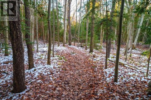 45 Ferndale Drive #211 Barrie - 211 - 45 Ferndale Drive S, Barrie, ON - Outdoor With View