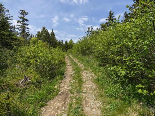 Lot 8 South View Drive, Freeport, NS 
