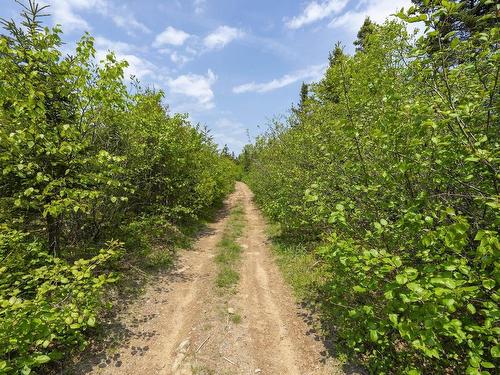 Lot 8 South View Drive, Freeport, NS 