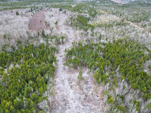 Lot Peter Leblanc Road, St. Alphonse, NS 