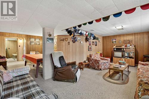 Rec Room - 13 Chestnut Street, Pelham (Fonthill), ON - Indoor