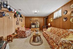 Rec Room Gas Fireplace - 