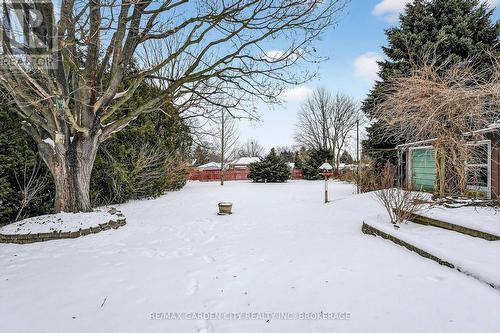 Back Yard - 13 Chestnut Street, Pelham (Fonthill), ON - Outdoor