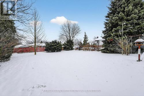 More Back Yard Views - 13 Chestnut Street, Pelham (Fonthill), ON - Outdoor