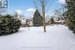 Another Back Yard View - 