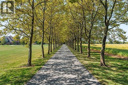 5938 Concession 5 North, Amherstburg, ON - Outdoor With View
