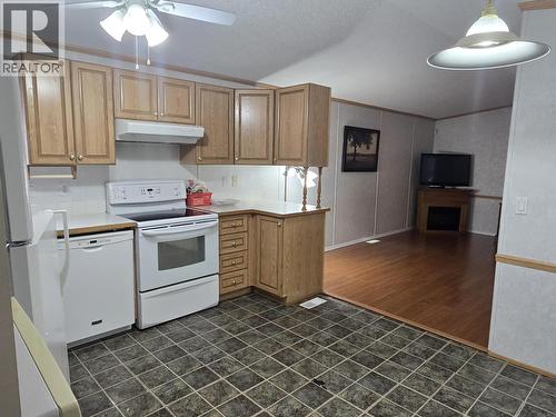 42 313 Westland Road, Quesnel, BC - Indoor Photo Showing Kitchen