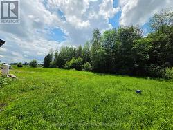 The side yard. - 