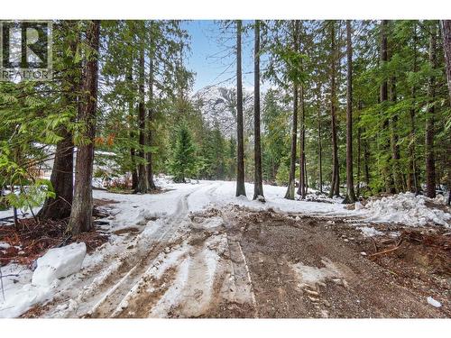 3277 Loschinski Road, Revelstoke, BC 