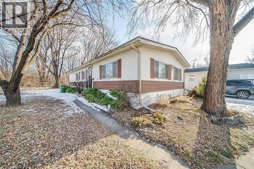 150 Michael, Lakeshore, ON - Outdoor