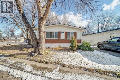 150 Michael, Lakeshore, ON - Outdoor