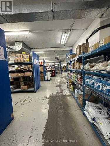 288 Catherine Street, Ottawa, ON 