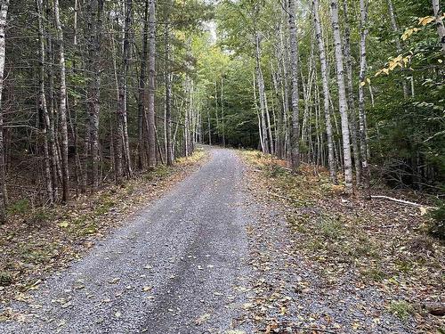 Lot 56 Ponhook View Drive, Labelle, NS 
