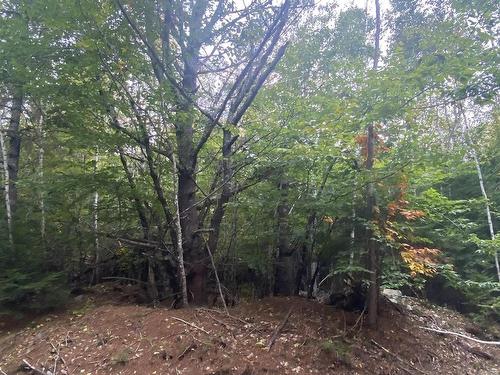 Lot 56 Ponhook View Drive, Labelle, NS 