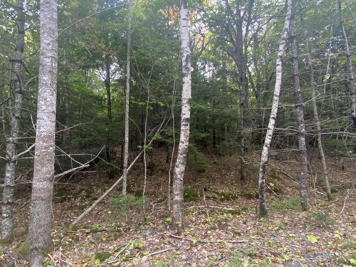 Lot 56 Ponhook View Drive, Labelle, NS 