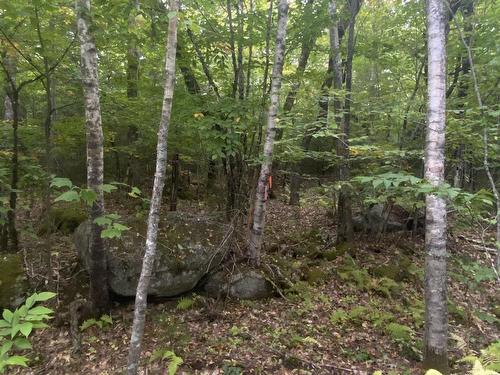Lot 56 Ponhook View Drive, Labelle, NS 