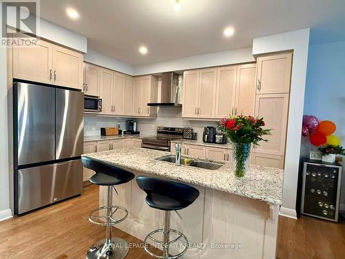 519 Hitzlay Terrace, Ottawa, ON - Indoor Photo Showing Kitchen With Stainless Steel Kitchen With Double Sink