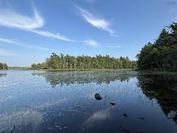 Lot PID# 60668795 Highway 325  West Clifford, NS B4V 8J1