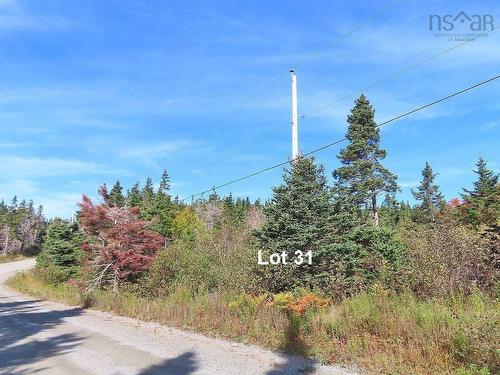 Lot 31 Belfry Lake Road, Gabarus Lake, NS 