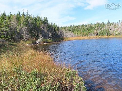 Lot 31 Belfry Lake Road, Gabarus Lake, NS 