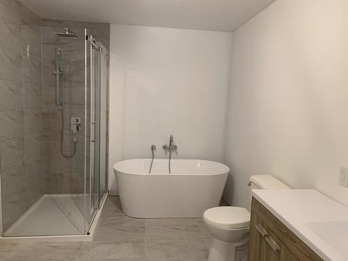 Bathroom - 559A Mtée Gagnon, Sainte-Marguerite-Du-Lac-Masson, QC - Indoor Photo Showing Bathroom