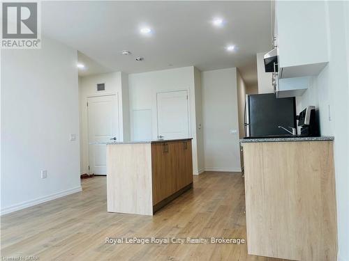 311B - 181 Elmira Road S, Guelph (Willow West/Sugarbush/West Acres), ON - Indoor Photo Showing Kitchen