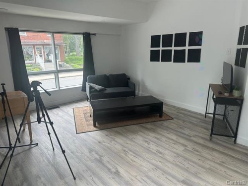 Interior - 101-386 Rue De Gentilly O., Longueuil (Le Vieux-Longueuil), QC - Indoor Photo Showing Living Room