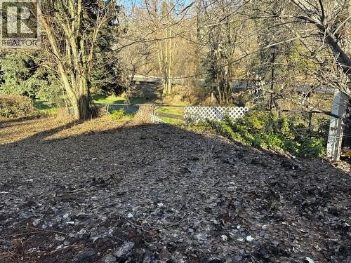 167 Old Rossland Avenue, Trail, BC - Outdoor