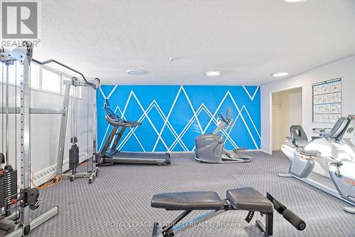 306 - 3120 Kirwin Avenue, Mississauga, ON - Indoor Photo Showing Gym Room