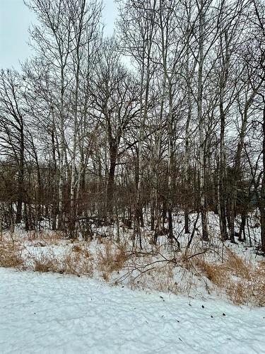 5 St Martins Bluff Drive, Carberry, MB 