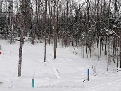 LOT 23 GLEN EAGLE COURT  Huntsville, ON P1H 1B1