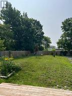 Summer backyard - 