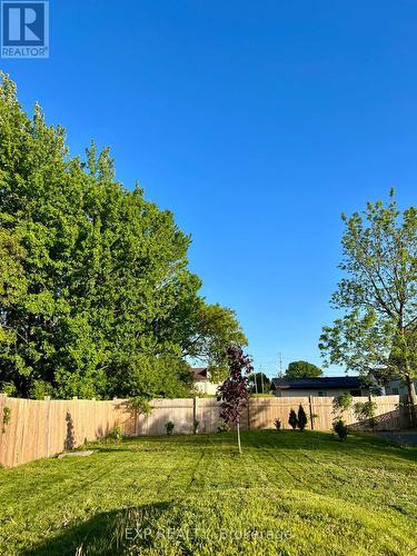 Summer backyard - 267 Station Street, Belleville (Belleville Ward), ON - Outdoor