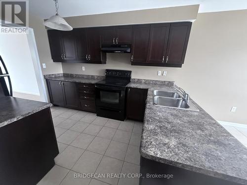 50 Emick Drive, Hamilton, ON - Indoor Photo Showing Kitchen With Double Sink