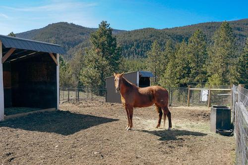 3888 Salmon River Road, Falkland, BC - Outdoor