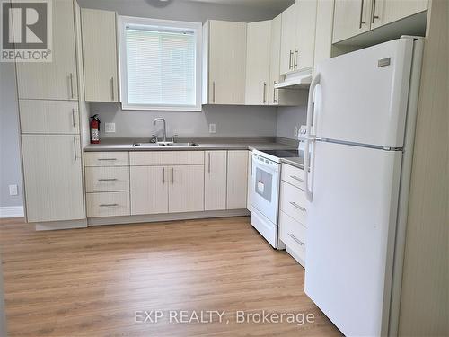 Lower - 11 Donald Avenue, Welland, ON - Indoor Photo Showing Kitchen With Double Sink