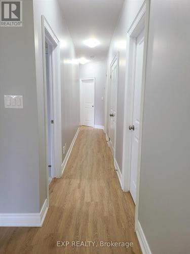 Lower - 11 Donald Avenue, Welland, ON - Indoor Photo Showing Other Room