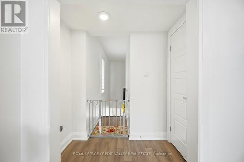 565 Goldenrod Lane, Kitchener, ON - Indoor Photo Showing Other Room