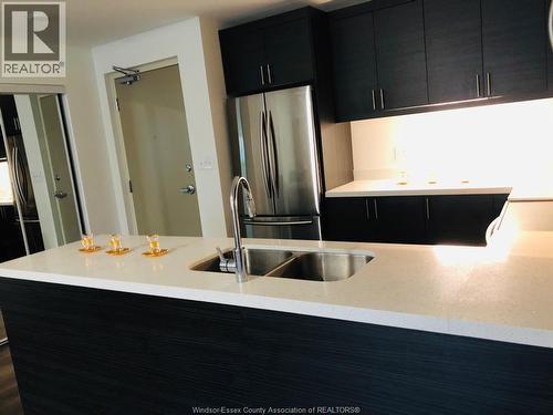1611 Banwell Road Unit# 121, Windsor, ON - Indoor Photo Showing Kitchen With Double Sink