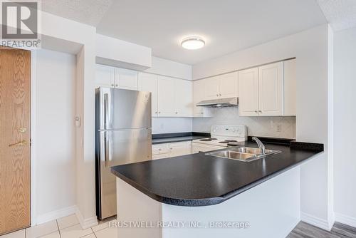 1206 - 9 Northern Heights Drive, Richmond Hill, ON - Indoor Photo Showing Kitchen With Double Sink