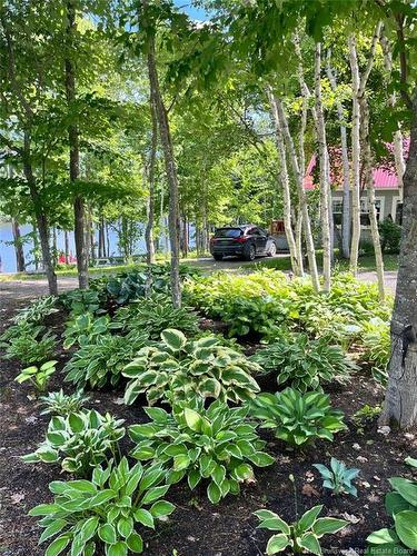 270 Straight Brook Rd, Tabusintac, NB 