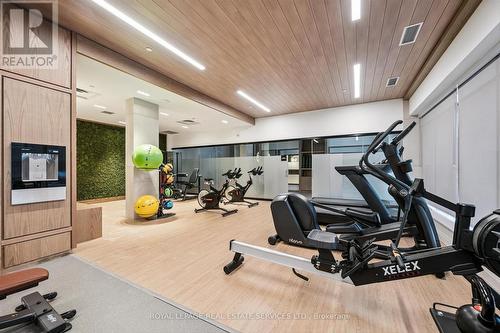State-Of-The-Art Fitness Centre - 223 - 3250 Carding Mill Trail, Oakville, ON - Indoor Photo Showing Gym Room