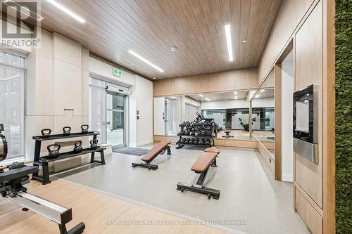 State-Of-The-Art Fitness Centre - 223 - 3250 Carding Mill Trail, Oakville, ON - Indoor Photo Showing Gym Room