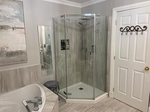 Bathroom - 10 146E Avenue, Notre-Dame-De-L'Île-Perrot, QC - Indoor Photo Showing Bathroom