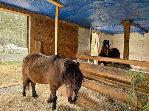 3463 Loch Lomond Rd., Loch Lomond, NS 