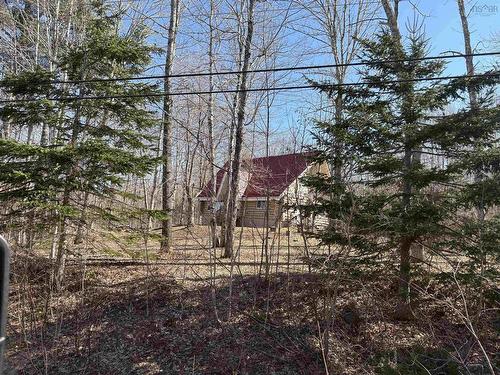 68 North River Road, Lake George, NS 