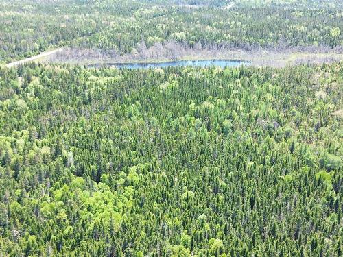 320 Highway, D'Escousse, NS 