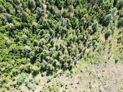 320 Highway, D'Escousse, NS 