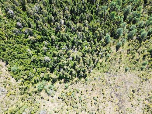 320 Highway, D'Escousse, NS 